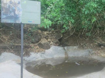 Waterbody Rejuvenation Gudawale Forest
