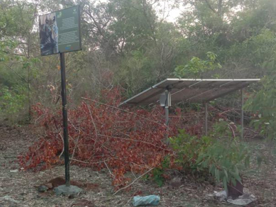 Waterbody Rejuvenation Chinchane Forest